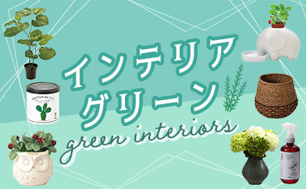 インテリアグリーン