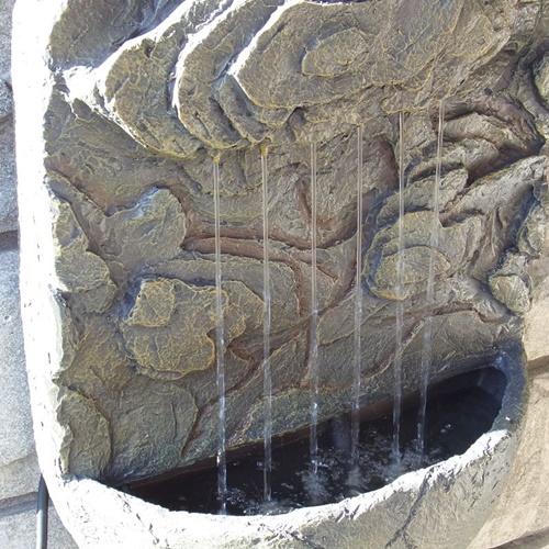 photo2