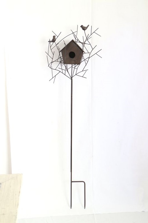 photo1