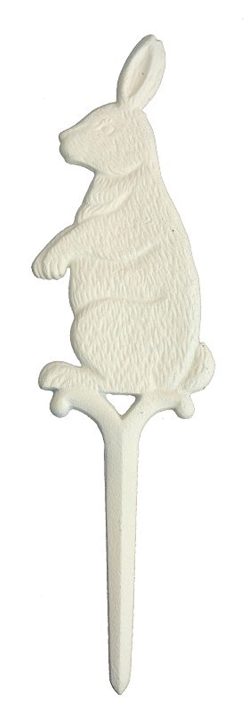 photo1