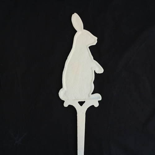 photo2