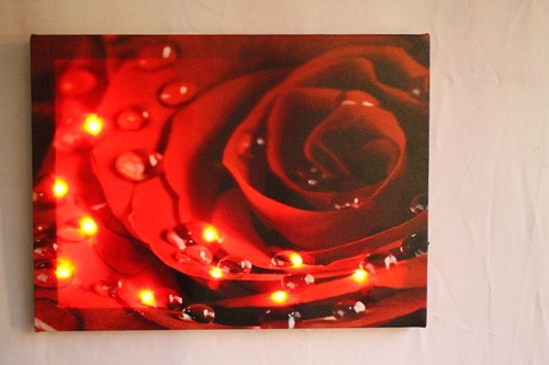 photo2