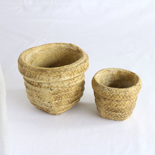 photo2