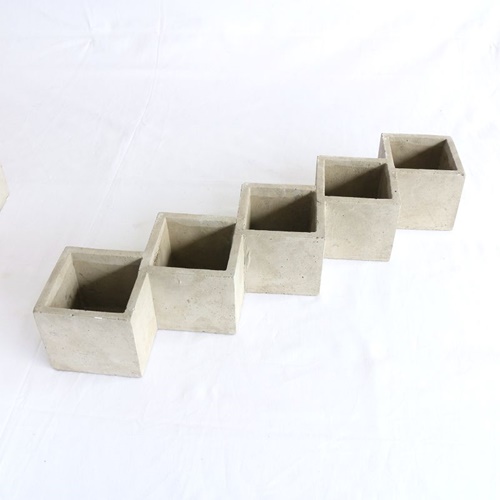 photo1