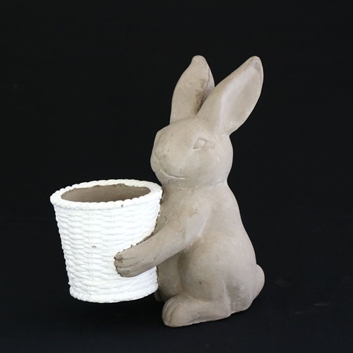 photo1
