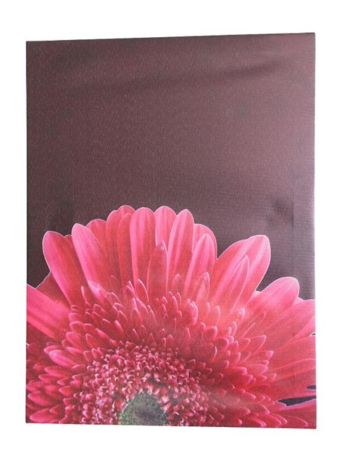 photo1