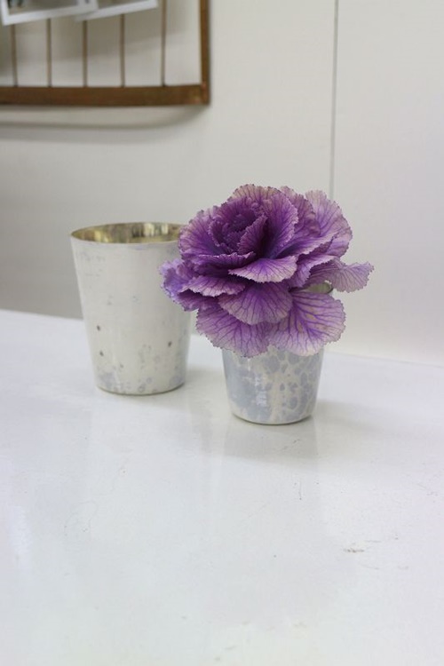 photo2