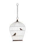 Wall Deco バードゲージ in Bird