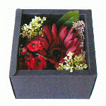 Flower Box S purple