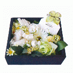 Flower Box M yellow