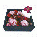 Flower Box M red