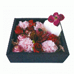 Flower Box M purple