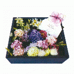 Flower Box M purple