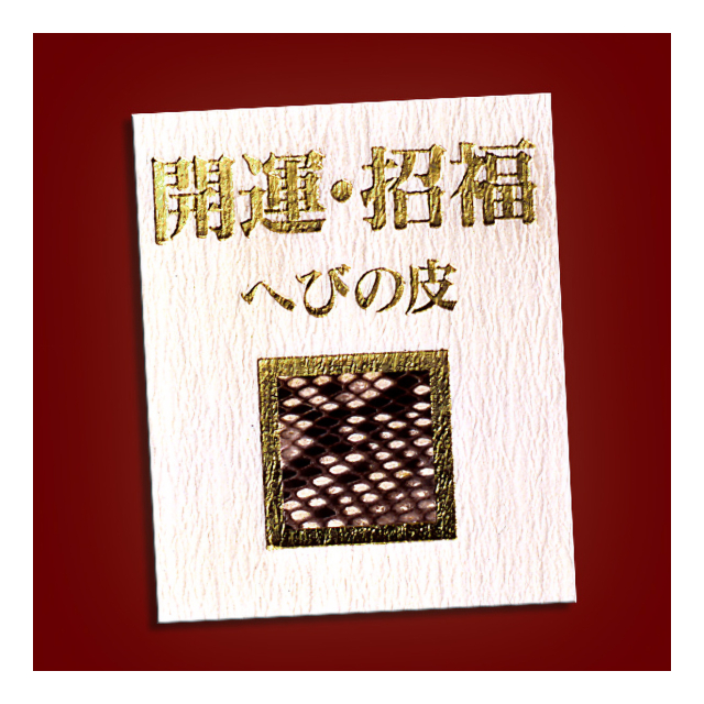 photo5