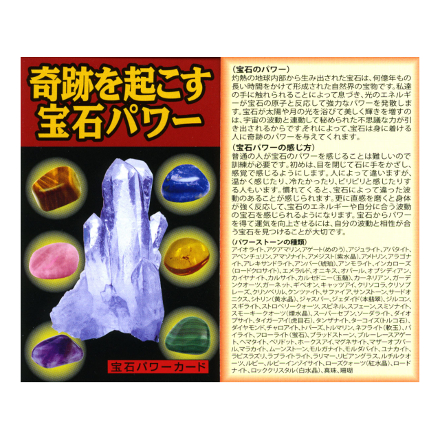 photo6