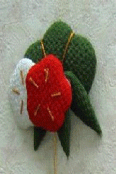 photo1