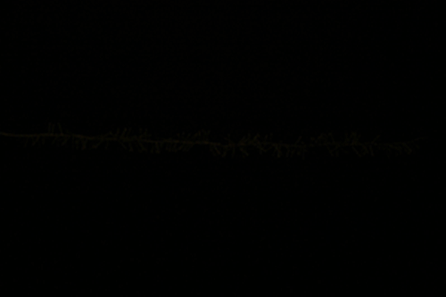 photo1