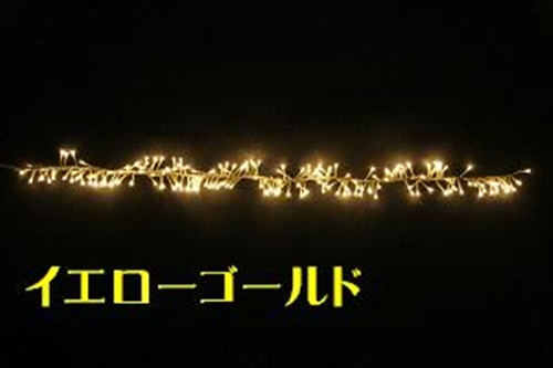 photo2