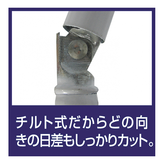 photo2