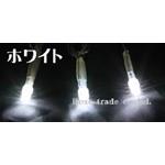 乾電池式LEDイルミネーション、ストリング、フェード、10球、電球色(イエローゴ..