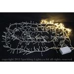 LED2Dロープモチーフ、スノーフレーク、100cm、タイプA(6花)