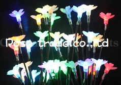 photo4
