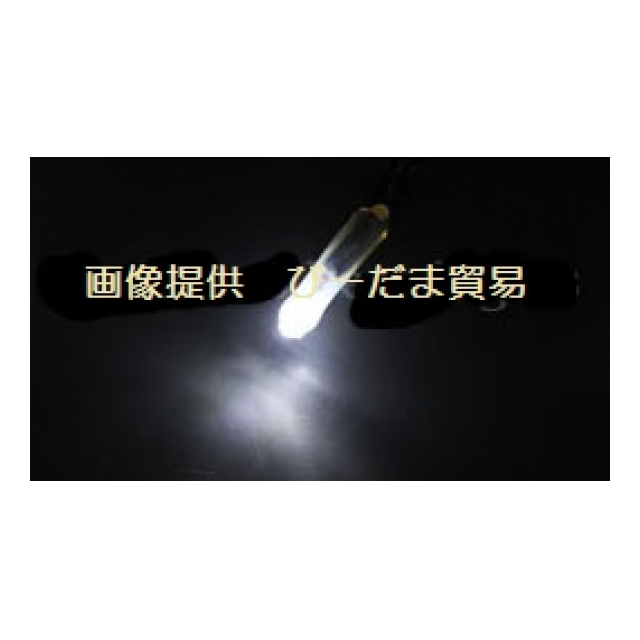 photo2