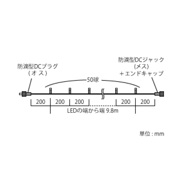 photo6