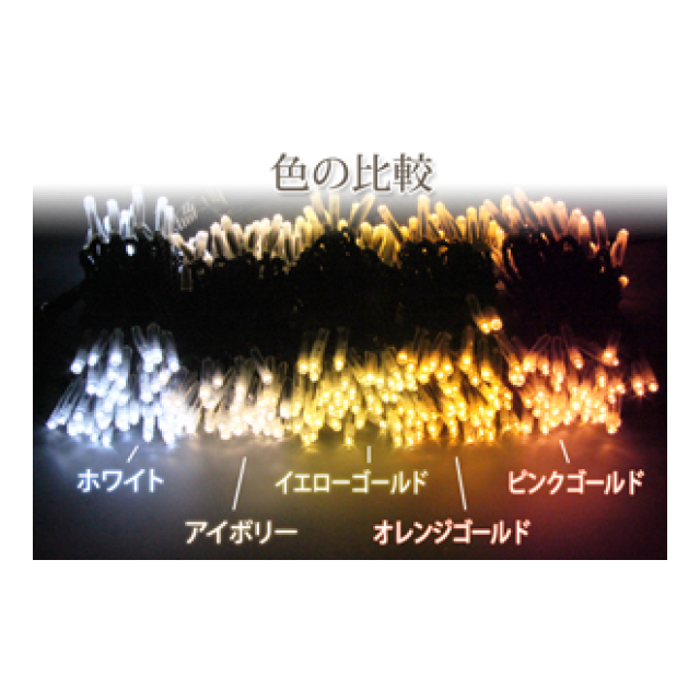 photo3