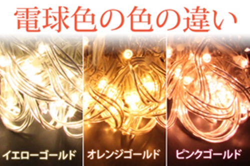 photo6