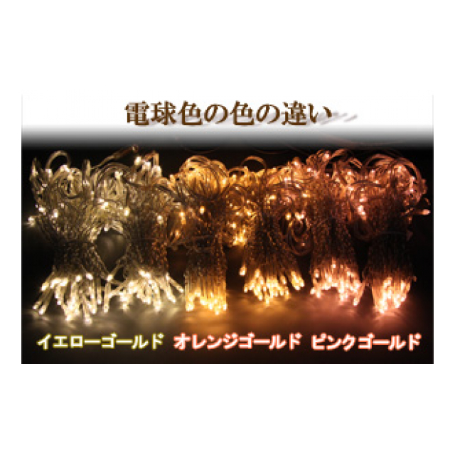 photo5