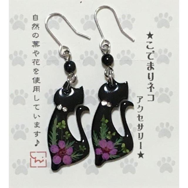 photo1