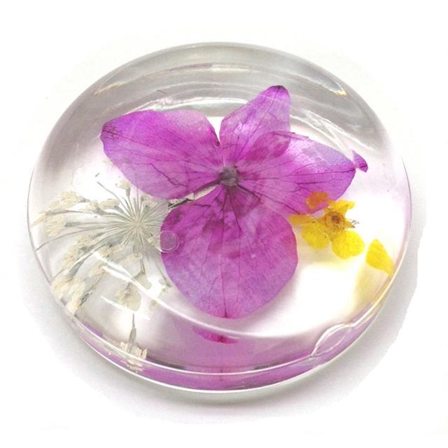 photo6