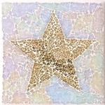 ルミエール　ブリエ　ガラスプレート　GDB