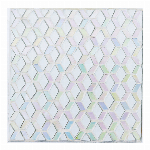 ルミエール　ブリエ　ガラスプレート　LFB