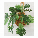 光触媒インテリアグリーン　ドロップバスケット　モンステラ
