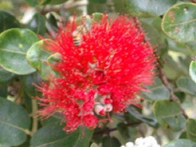 photo4
