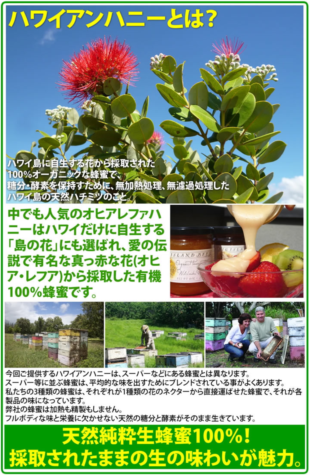 photo6