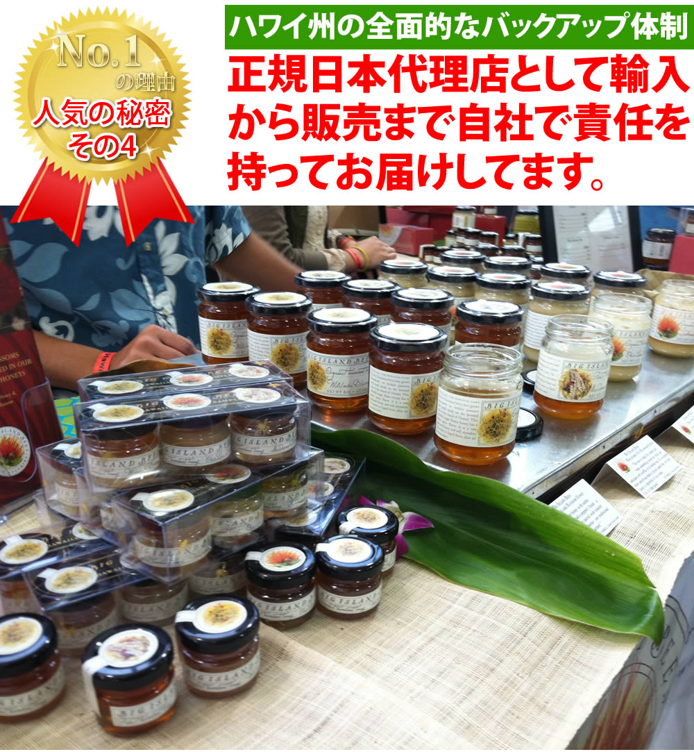 photo7
