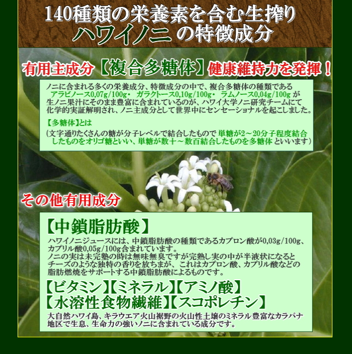 photo4