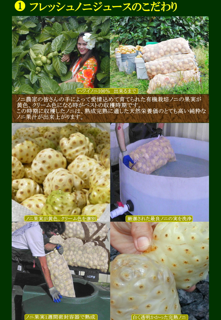 photo5