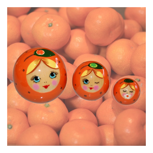 画像5