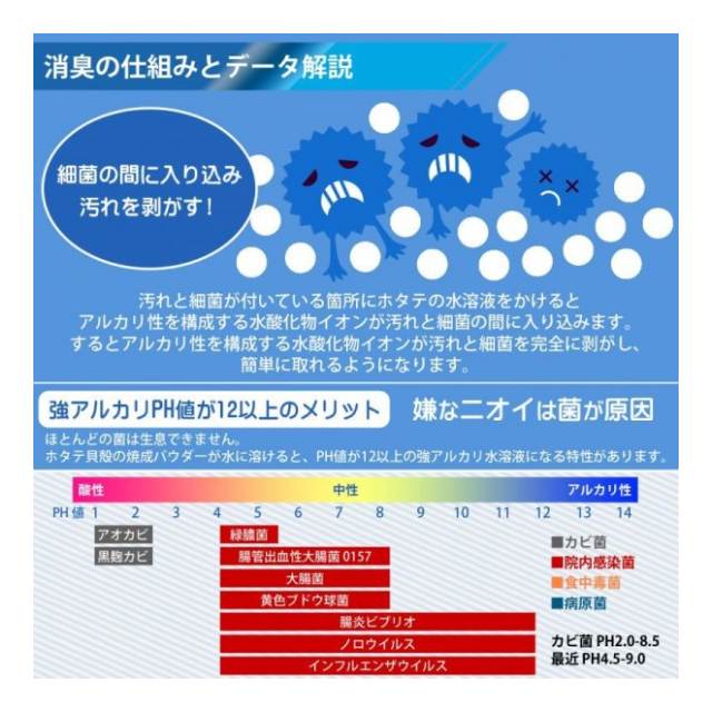 photo6