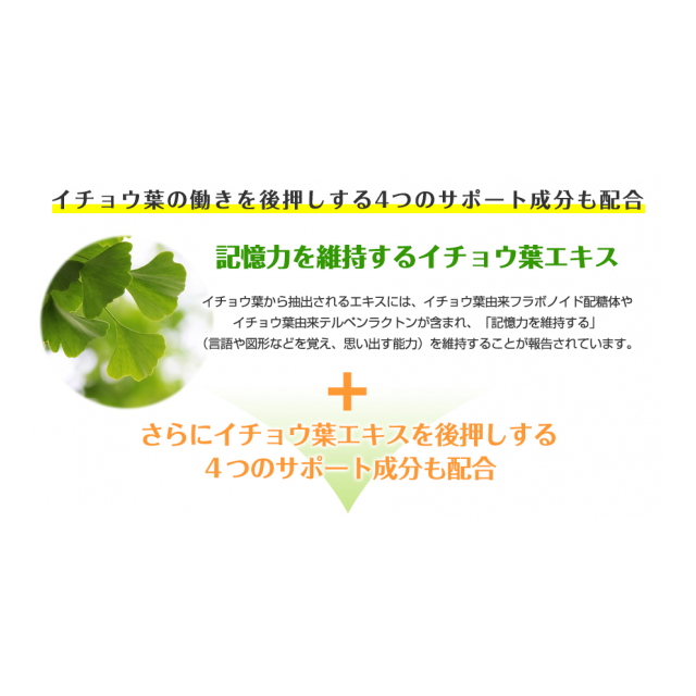 photo8