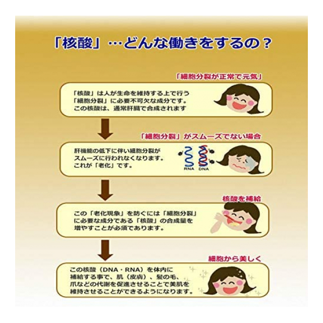 photo4