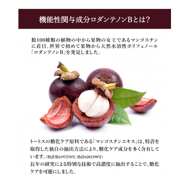 photo7
