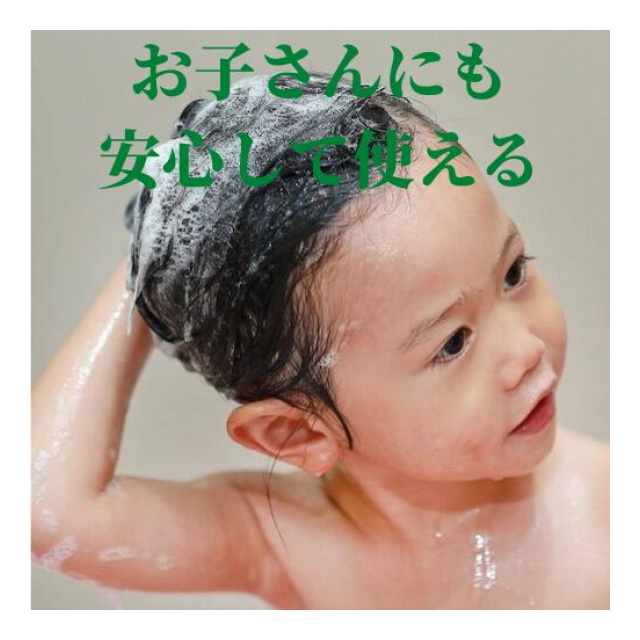 photo4