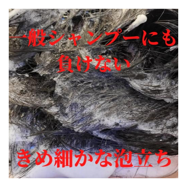 photo7