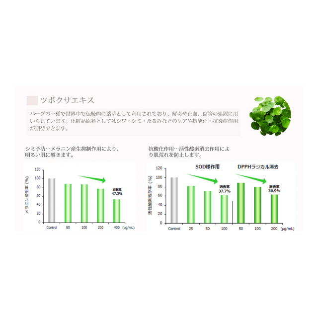 photo5