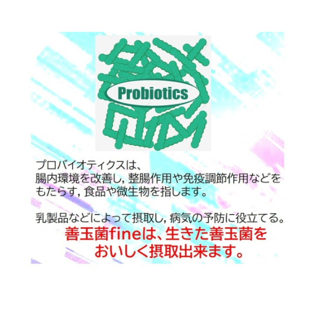 photo8